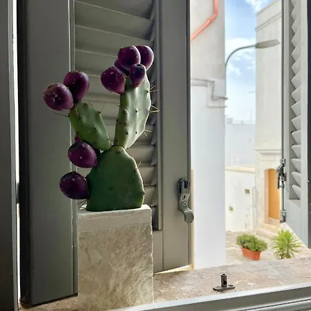 Angoletto Bianco Tatil Evi Ostuni