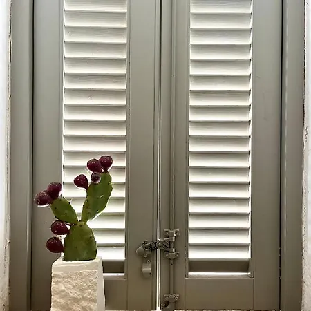 Angoletto Bianco Tatil Evi *